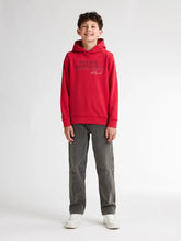 Charger l'image dans la galerie, Hoodie SWH302
