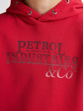 Lade das Bild in den Galerie-Viewer, Hoodie SWH302
