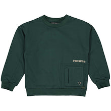Afbeelding in Gallery-weergave laden, Sweater Dave
