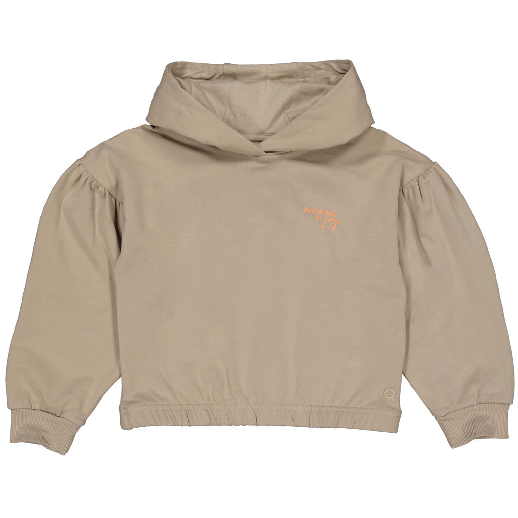 Hoodie Dinte