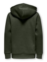 Cargar imagen en el visor de la galería, Hoodie Ceres Reg Vintage
