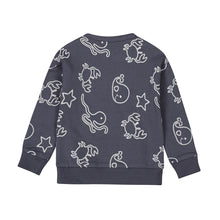 Afbeelding in Gallery-weergave laden, Sweater P54649
