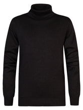 Lade das Bild in den Galerie-Viewer, Pullover Turtle KWC260
