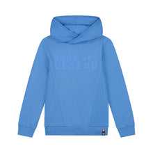 Afbeelding in Gallery-weergave laden, Hoodie Sean Sky Blue
