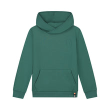 Afbeelding in Gallery-weergave laden, Hoodie Basic Sil Green
