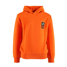 Afbeelding in Gallery-weergave laden, Hoodie Hank

