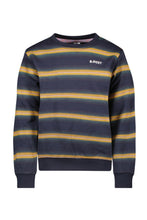 Lade das Bild in den Galerie-Viewer, Sweater Scott
